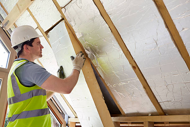 Best Geographic-Specific Insulation Services in Bangor, MI